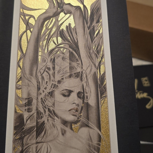 2 pcs Manuel Nunez art ready to frame. Luna de Fuego & Volare - Picture 6 of 8